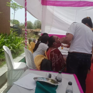 Dental Check-Up